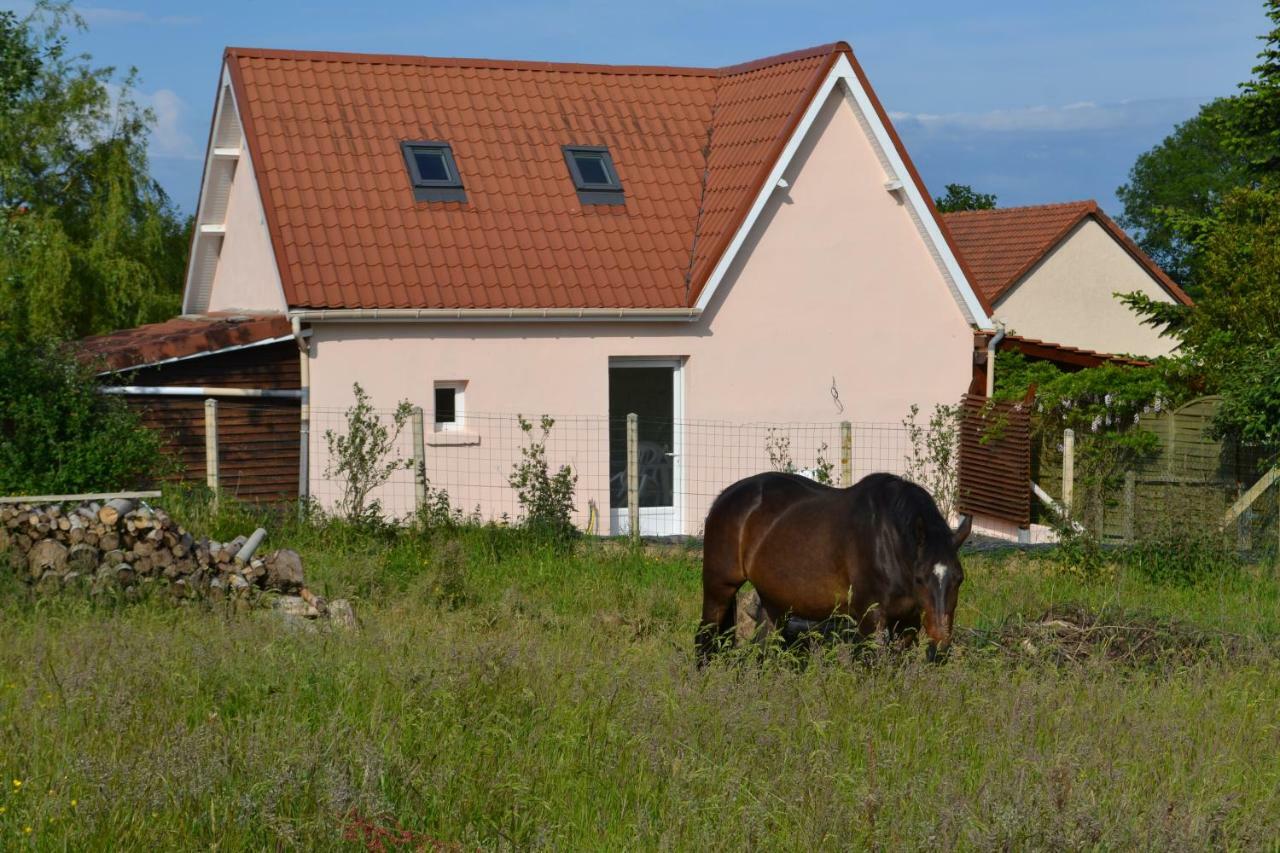 Le Paddock Des Caloges Villa Le Tilleul Exterior photo